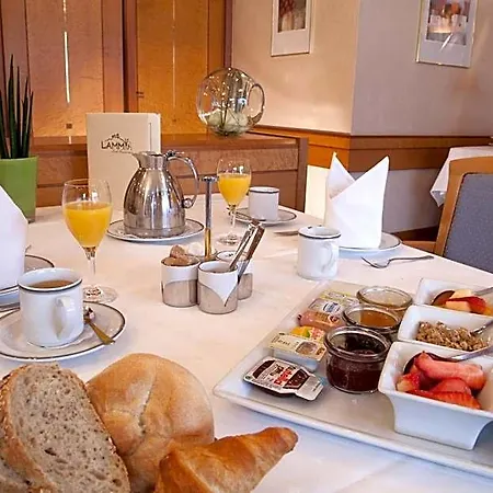 Hotel Restaurant Lamm Stein (Baden-Wurttemberg)