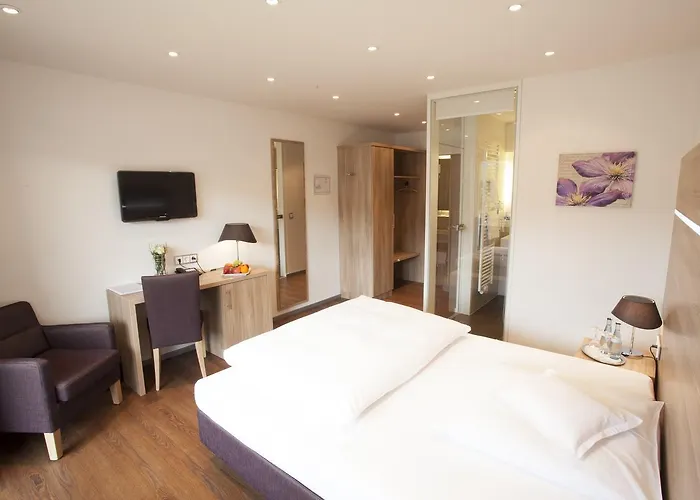 Restaurant Lamm 호텔 3*